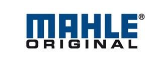 Mahle Original